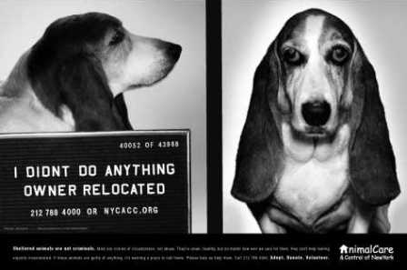 � �� ����������!