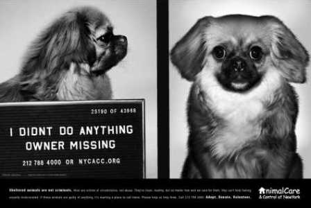 � �� ����������!