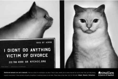 � �� ����������!