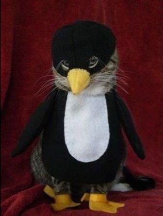 ������ ��������