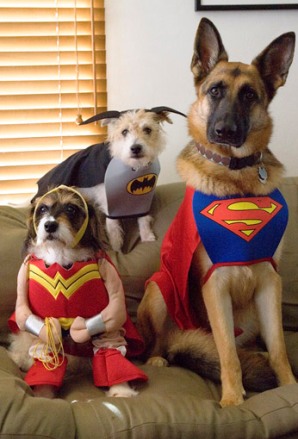 ������� ��������