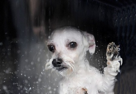 ������� ������