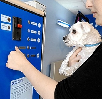 ������� ������