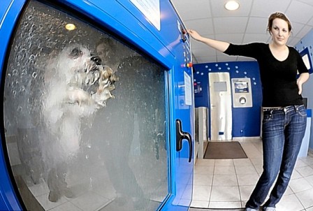 ������� ������