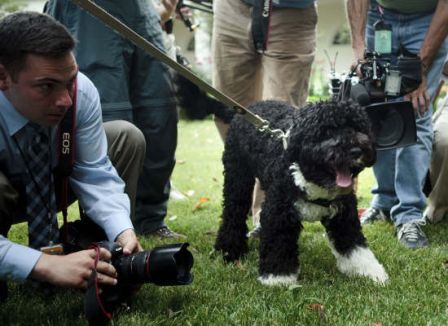 � ���� ��������, �� �����!