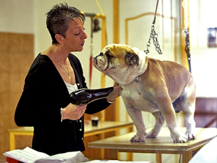 ������ ����� � ���� ��������� ����� �� �������