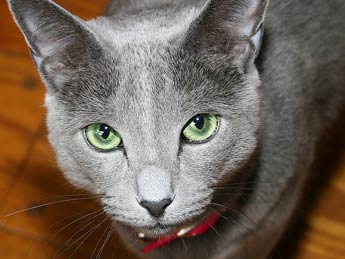 � ���������� � �����