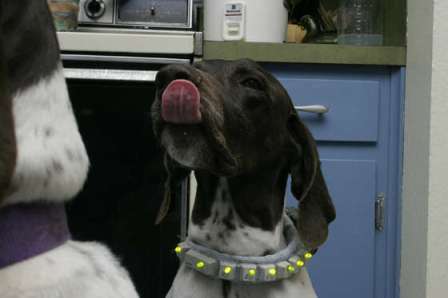 ����-���� �������