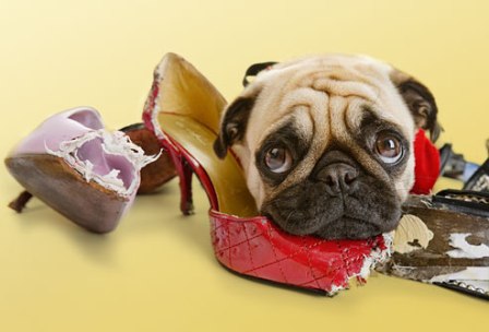 ������� ��� ������-��������