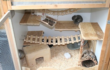 ������� ��� �������