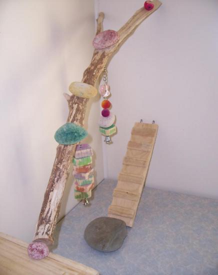 ������� ��� �������