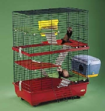 ��� ��� ��������