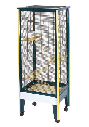 ��� ��� ��������