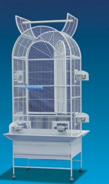 ��� ��� ��������