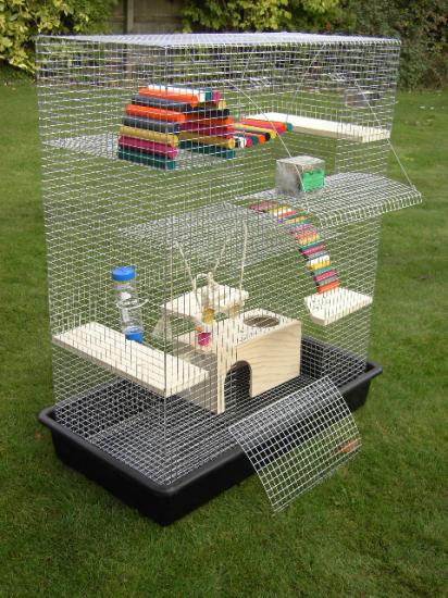 ��� ��� ��������