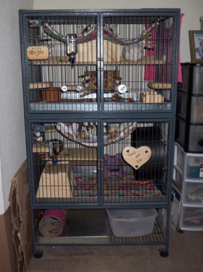 ��� ��� ��������