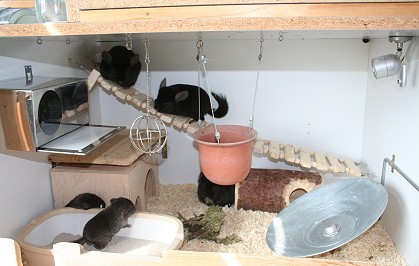 �� �������, ��� ��� ����� ������ ��������?