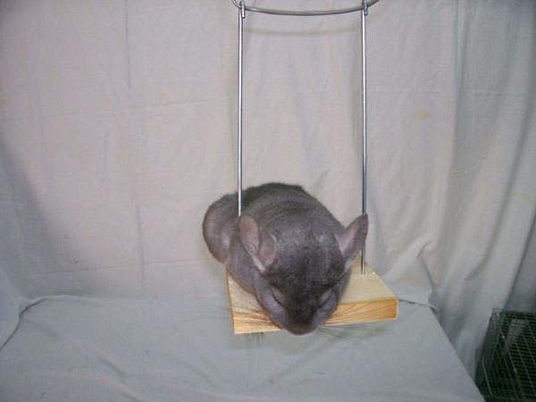 �� �������, ��� ��� ����� ������ ��������?