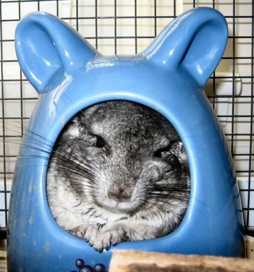 �� �������, ��� ��� ����� ������ ��������?