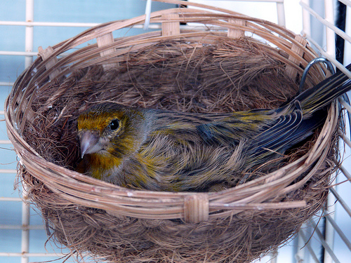 ���� ������ ��� ������