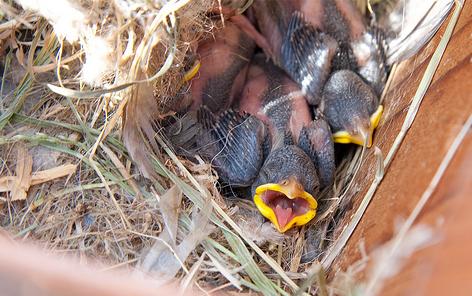 ���� ������ ��� ������