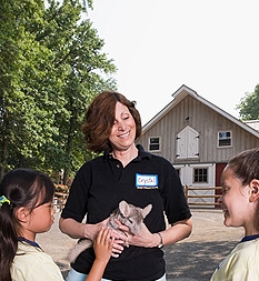 �� �������, ��� ��� ����� ������ ��������?