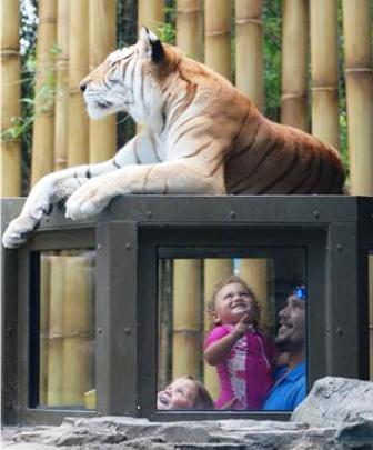 ���������� �������