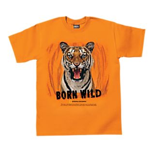 ���������� �������