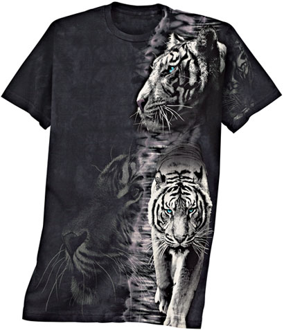 ���������� �������