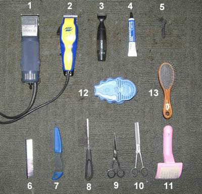 ٸ��� ������ �����