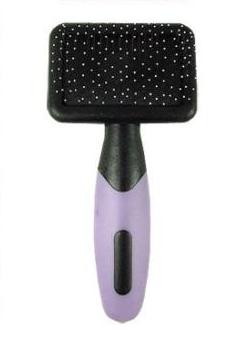 ٸ��� ������ �����