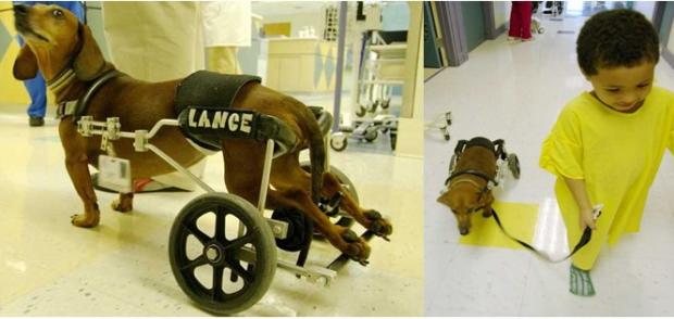 ������� ���� ������! ���� ������ ���� ���, ���� ����, ��� ����