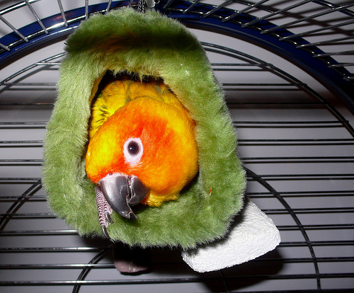 ����� ��� ������