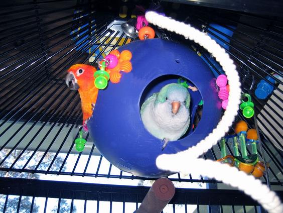 ����� ��� ������