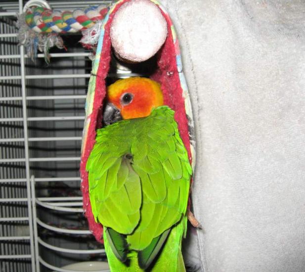 ����� ��� ������