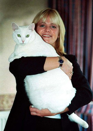 ���������� ��� � ��������� ��������