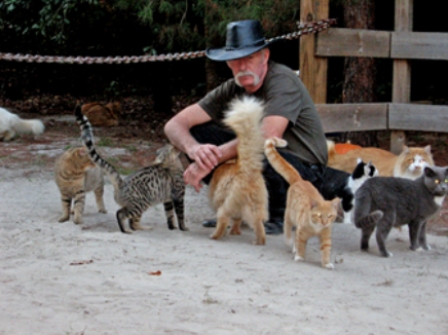 ����� ��� ������� �����