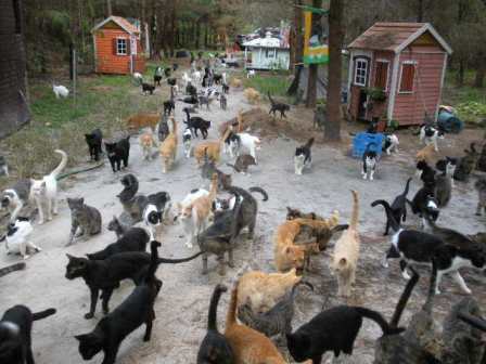 ����� ��� ������� �����