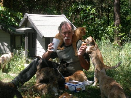 ����� ��� ������� �����