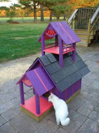 Дворец для четвероногих друзей Дворец для четвероногих друзей