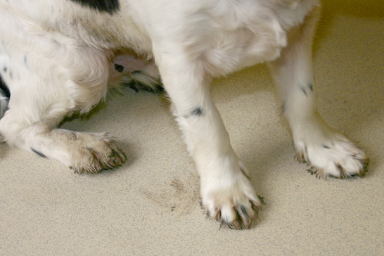 ������ ����� � ������ ������