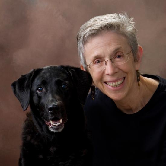 ������ ������ ��������