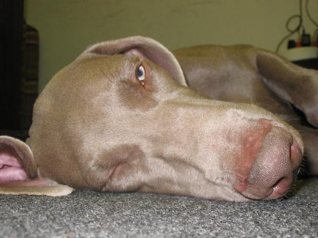 ������ ����� � ��������