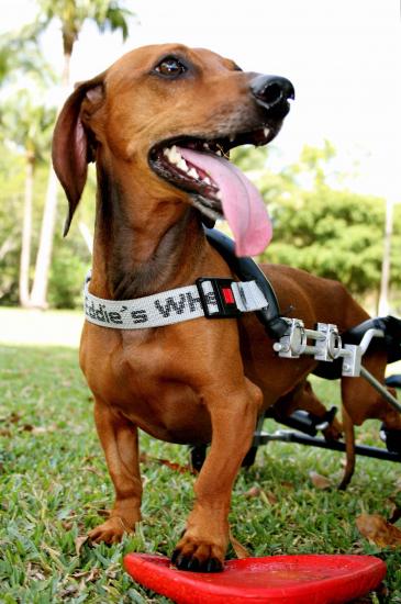 ������� ���� ������! ���� ������ ���� ���, ���� ����, ��� ����