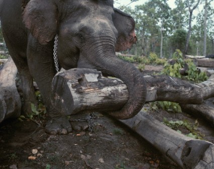 ��� ��������, �� �������� ���