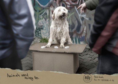 �������� ���� ����� ������