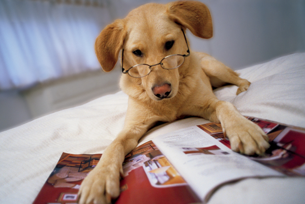 ������� �������� � �������� �������� ��� �����