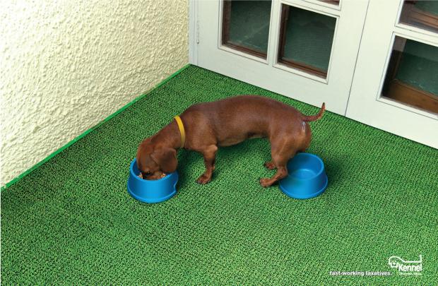 ����������������� ������������ ��� �����