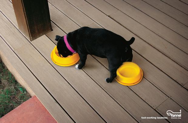 ����������������� ������������ ��� �����