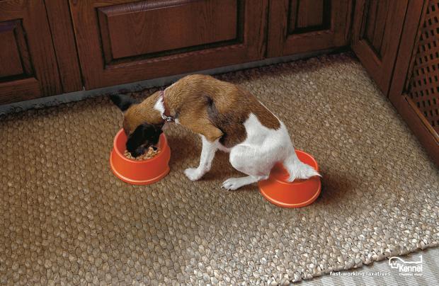 ����������������� ������������ ��� �����